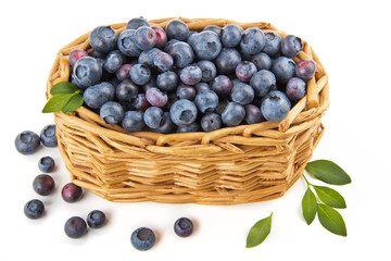 Blueberries in a basket