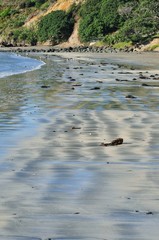 Colourful sands on beach at low tide, Army Bay