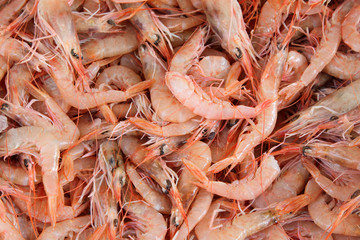 Fresh Mediterranean shrimps at market, scampi
