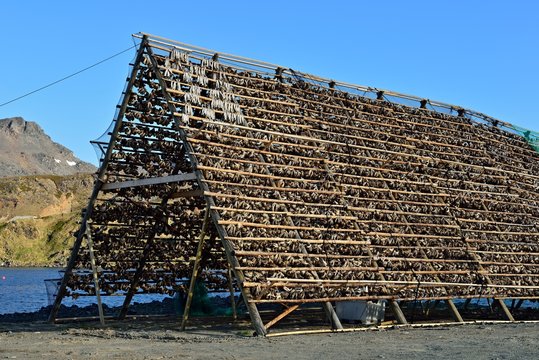Holzgestell f&uuml;r Stockfische in Norwegen