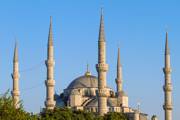 Fototapeta na wymiar The Blue Mosque (Sultanahmet Camii), Istanbul, Turkey