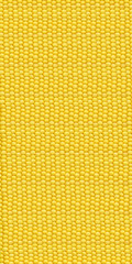 Largest collage of yellow corn - background texture