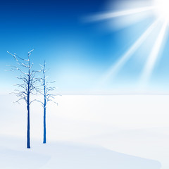 Fototapeta na wymiar 03_Snow landscape