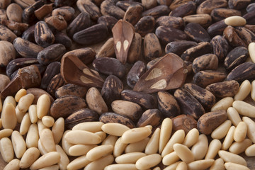 Pinoli