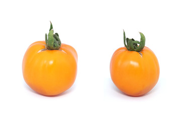 tomate ancienne orange à gros fruits