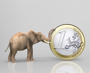 Elefante con moneda euro - obrazy, fototapety, plakaty