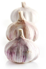 Garlic on a white background