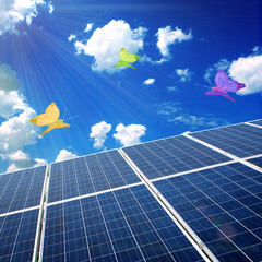 solar panels on the field