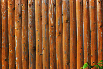 Wooden fence