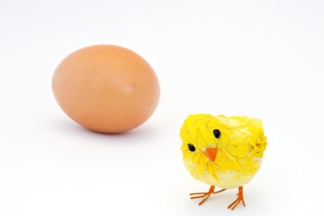 Yellow chick