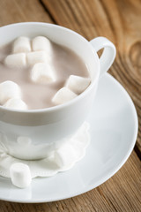 Cup of Hot Chocolate with marshmallows