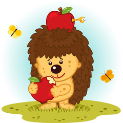 Hedgehog with apples- vector illustration