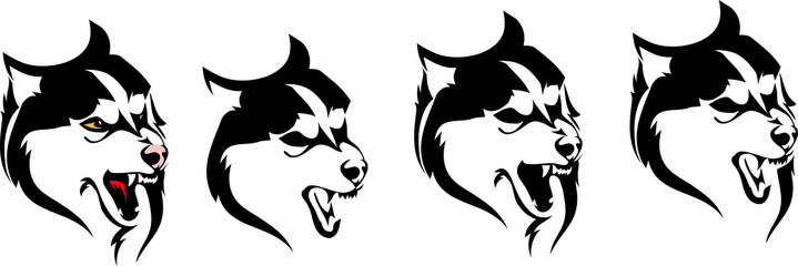different variants of the head dog breed Siberian husky or wolf