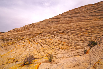 Fototapeta na wymiar White Sandstone Ridge in the Desert
