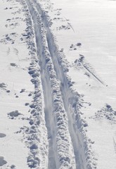 Ski tracks in fresh snow