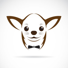 Vector image of an chihuahua dog
