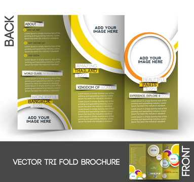 Tri-Fold Corporate Business Store Brochure Design