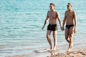 Gay couple are holding hand while walking along the beach