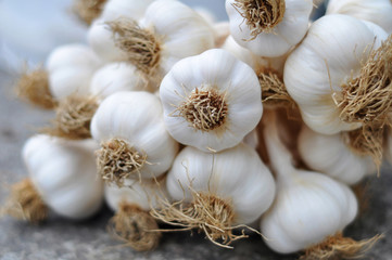 Garlic Braid details