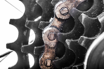 Bicycle rear sprockets close-up.