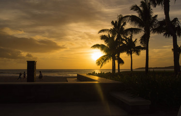 Sunset and palm trees on the coast