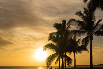Obraz na płótnie Canvas Sunset and palm trees