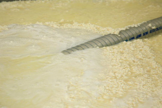 fasi preparazione formaggio