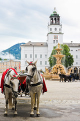 Naklejka na ściany i meble Eleganckie konie w Salzburgu