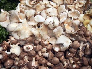 Mushrooms