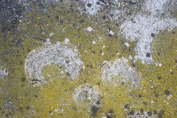 hintergrund material beton I