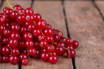 ripe red currants