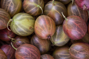 gooseberries background
