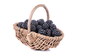 Fototapeta na wymiar blackberries in a basket