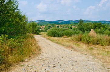 Fototapeta na wymiar Country path. Rustic scene with a road.