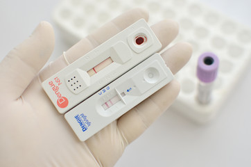 Dengue fever testing (NS1 antigen & IgM/IgG)