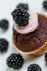 fresh tartlet with blackberries