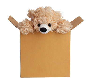 Teddy Bear Peeking Out Of A Box