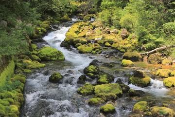 Gljun stream - spring, Triglav national park, Julian Alps,  Slovenia, Alpe Adria Trail, Central Europe
