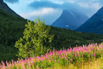 Mountains in Norway