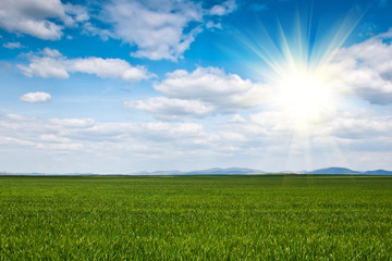 green field background