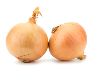 Fresh bulbs of onion on a white background