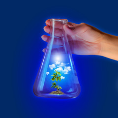 Sprout in test tube