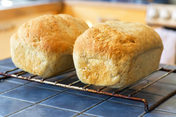 Homemade Bread