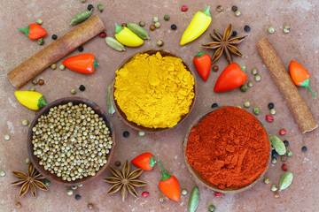 Selection of Indian spices and chilies