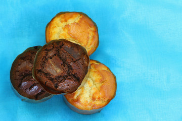 Chocolate and lemon muffins on blue background with copy space