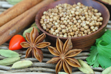 Selection of Indian spices and chilies