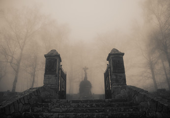 Scary old entrance to forest graveyard in dense fog - 55634417