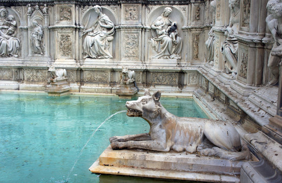 fountain in Siena