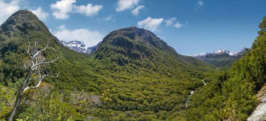 Hollyford Valley Lookout  (Pops View) an der Milford Road
