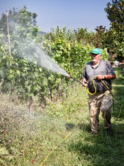 spraying pesticide in vineyard